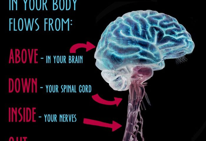 brain and spine function